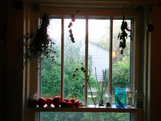 *garden 2014 windowsill