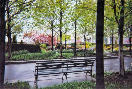 Photo of a garden nearby South Street Seaport in New York City. Taken by Shengzhi Li on April 2005. Photo WikiCommons.